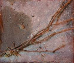 Boreal (USA) : The Battle of VOSAD